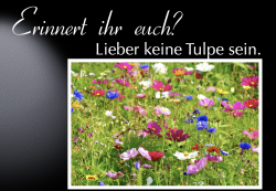 Lieber in einer Blumenwiese zu Hause sein.
