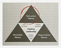 Sei wie das 18. Kamel